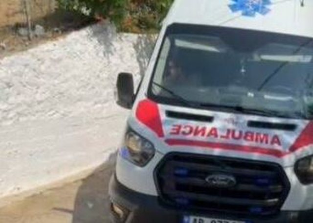 Divjak&euml;/ &ldquo;Toyota&rdquo; dhe &ldquo;Audi&rdquo; p&euml;rplasen