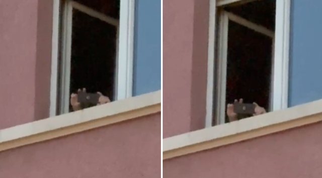 Patronazhisti kapet &ldquo;mat&rdquo; duke b&euml;r&euml; fotografi nga Kuvendi