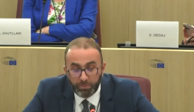 Bardhi in the European Parliament: In Albania, the law stops in the face of