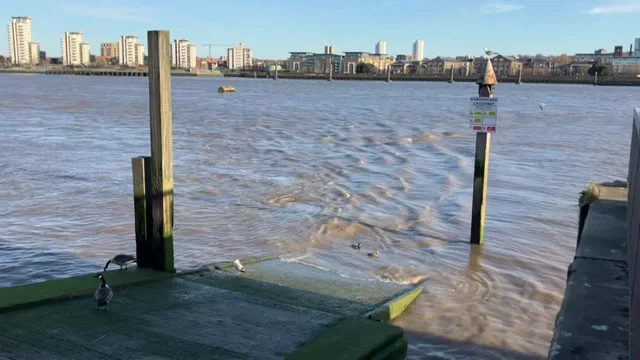 Albanian in London saves 7-year-old girl from drowning: I couldn't leave