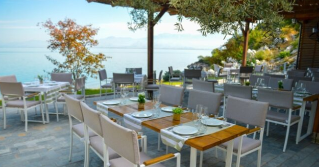 Operational Plan, Taxes start informing about bars-restaurants, beaches and