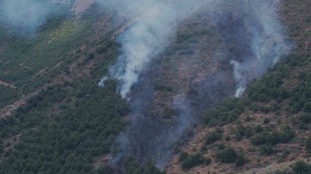 Zjarr në Pogradec, përfshihet nga flakët masivi pyjor
