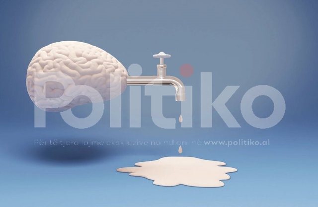 Ekspertja e WIIW në Politiko: Largimi i trurit po dobëson