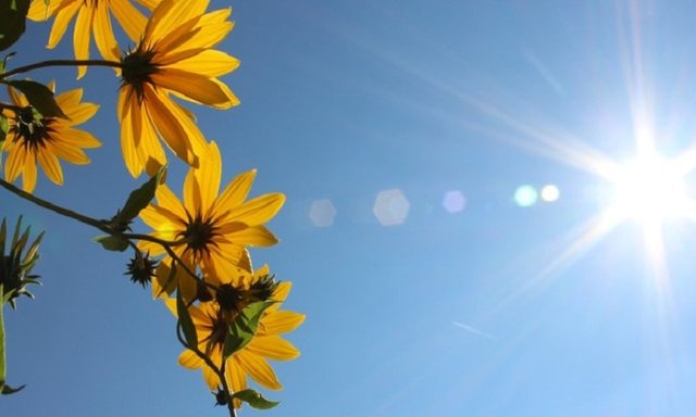 Weather forecast, sun and temperatures up to 29 degrees during the day