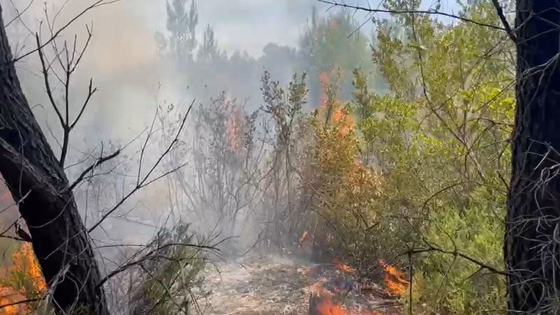 Riaktivizohen vatrat e zjarrit në Darëzezë, era përhap