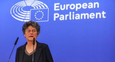 Eurodeputetja holandeze: Protestuesit po mbrojn&euml; vlerat evropiane, Edi Rama