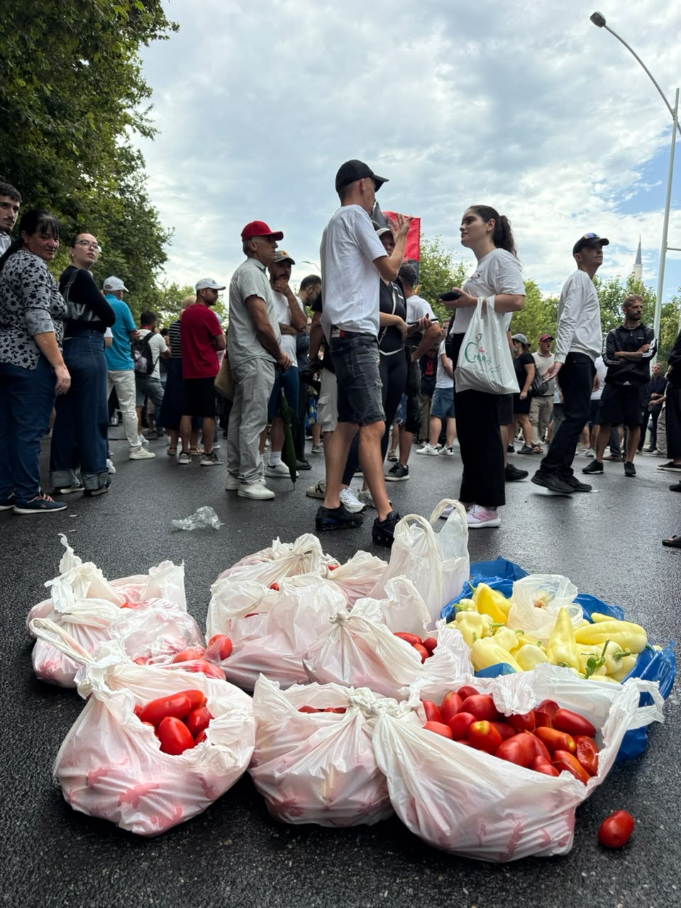 DOMATE-VEZE-SPECA-PROTESTA-3.jpg