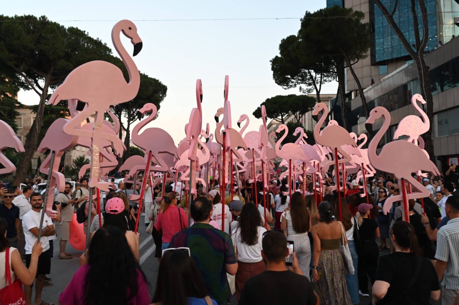 BIRN Analysis: The Digital Front of the &ldquo;Flamingo Revolution&rdquo;