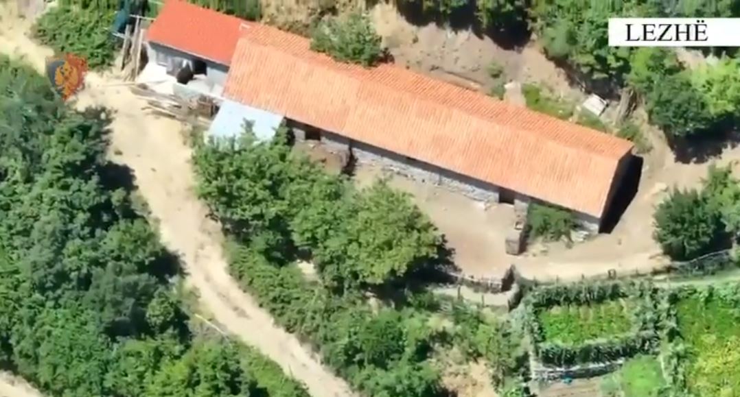 5 'barber houses' discovered in Lezha, two in handcuffs, 4 OSHEE
