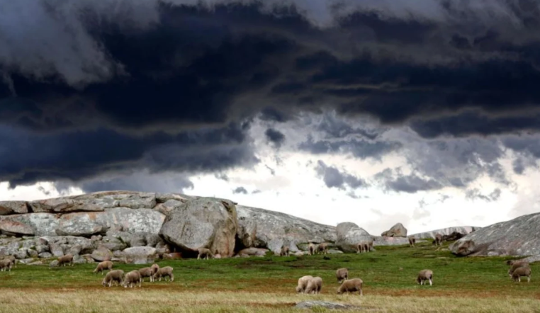 Lightning strikes herd of cattle in Pogradec, 10 sheep and goats die