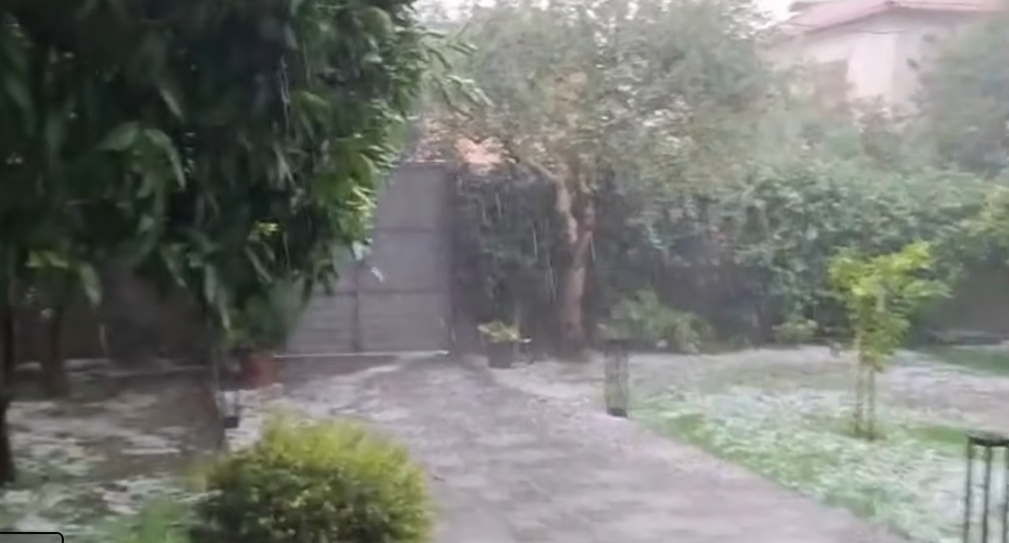 Screenshot 2026-07-24 140409.png