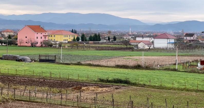 Two laws that do not solve the real problems of Albanian agriculture