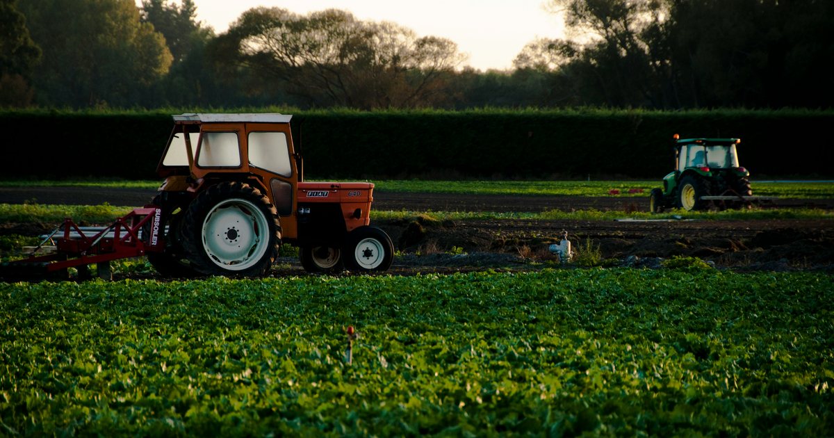 Financimi për bujqësinë  i kufizuar   BSH  Stepen bankat   Tkurrje  me 51  e kredisë së re të dhënë për këtë sektor