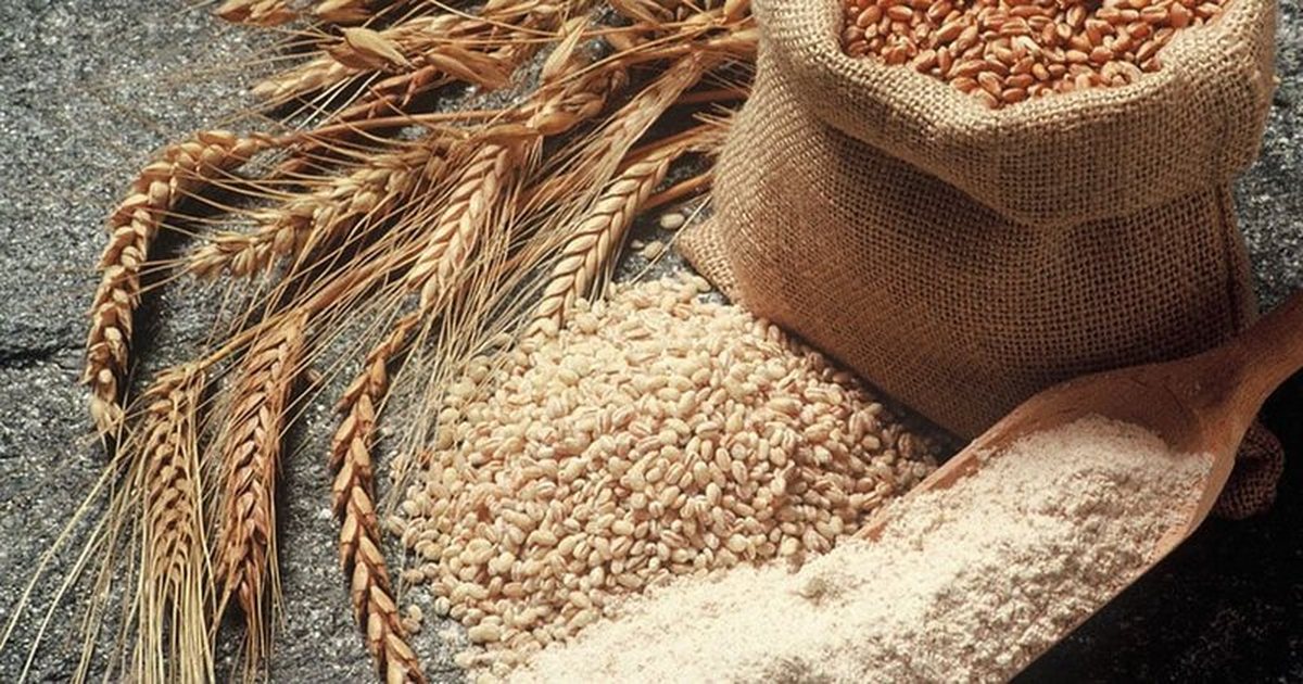 Buka  ku mbështetet Shqipëria  Analiza  Si ka ndryshuar gjeografia e furnizimit me drithëra të vendit