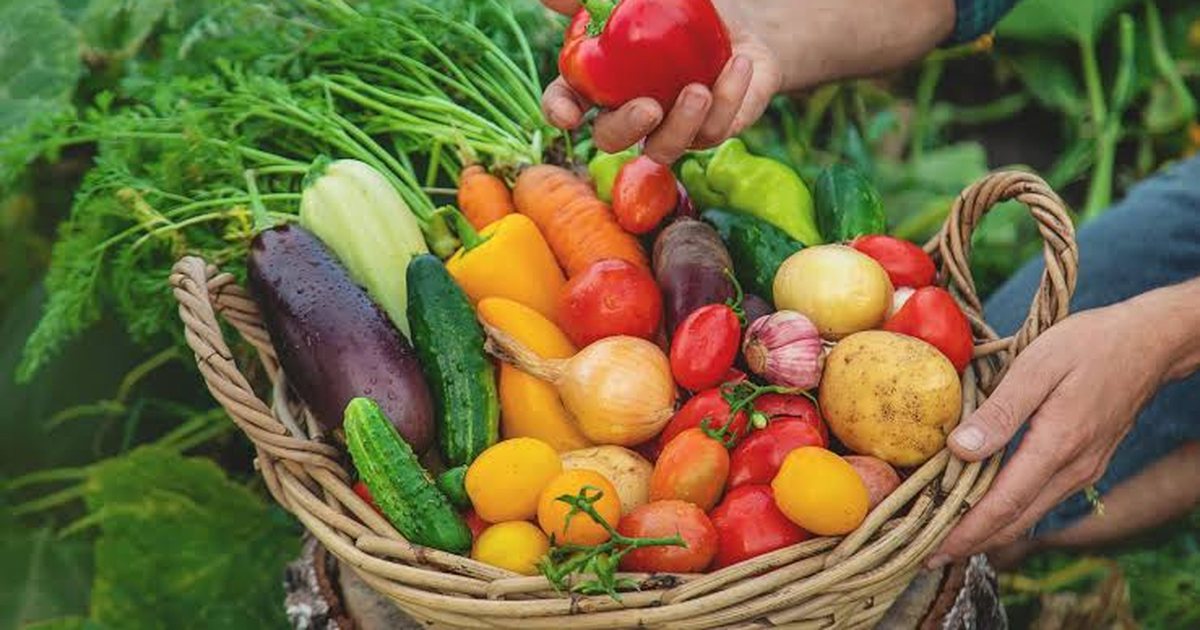 Vezët  udhëhoqën  rritjen e çmimeve në bujqësi në 2025  Rritje edhe për frutat  agrumet dhe ullinjtë  Patatet dhe shpendët  më lirë