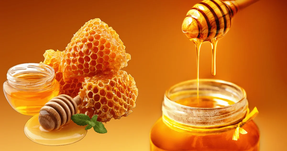 Rekord mjalti  por pas shifrave fshihet një rënie  Shtohet prodhimi  dobësohet produktiviteti i koshereve