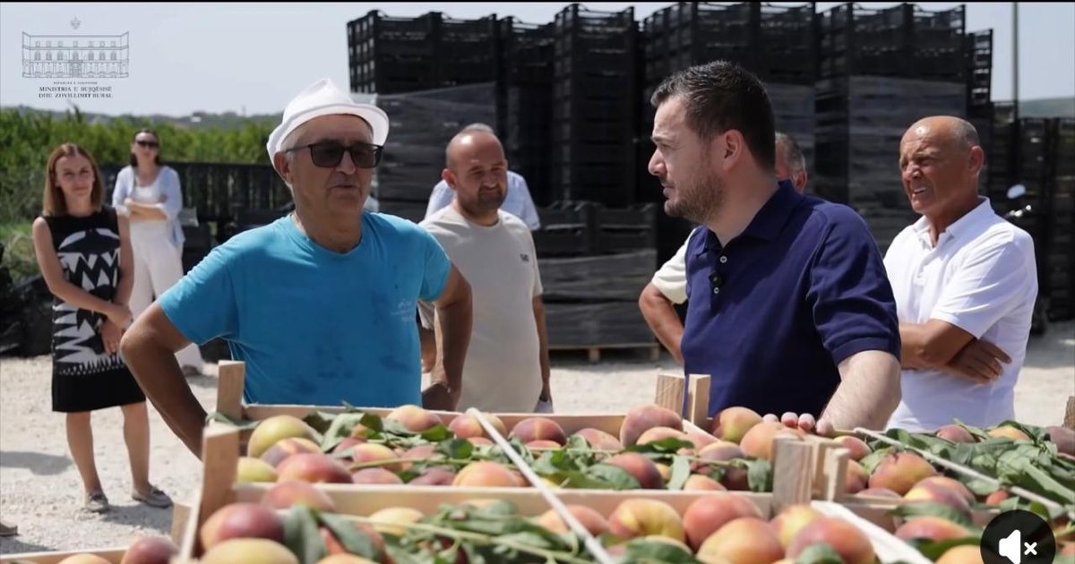 Fuqizim i eksporteve  Made in Albania   Salla  Bashkëpunimi mes fermerëve  zgjerim i tregjeve për prodhimet bujqësore