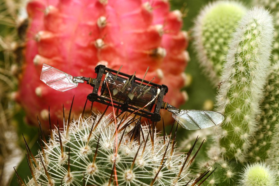 Insect-sized robot - The "hopping" device can explore difficult
