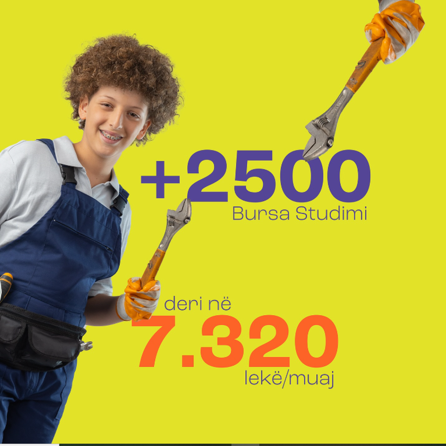 Mbi 2500 bursa për arsimin profesional - Cilat janë kategoritë