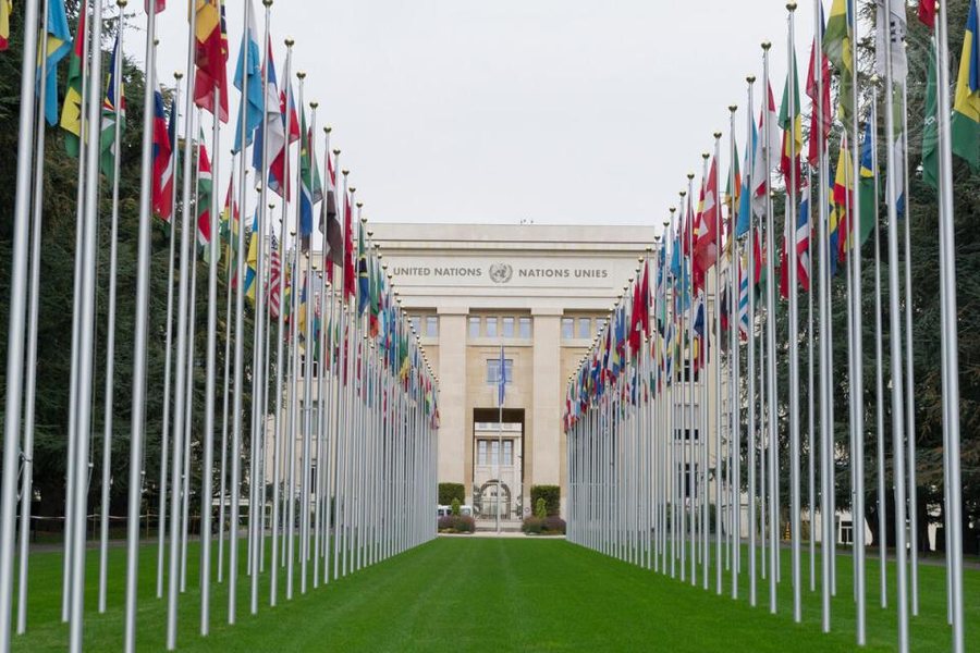Investimet globale u tkurrën me 11% në 2024 - OKB paralajmëron: