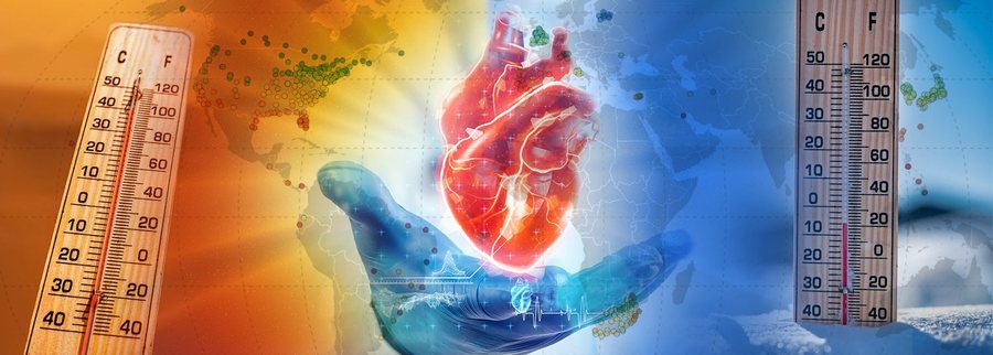 What is the maximum temperature the heart can withstand? - Hot summer days