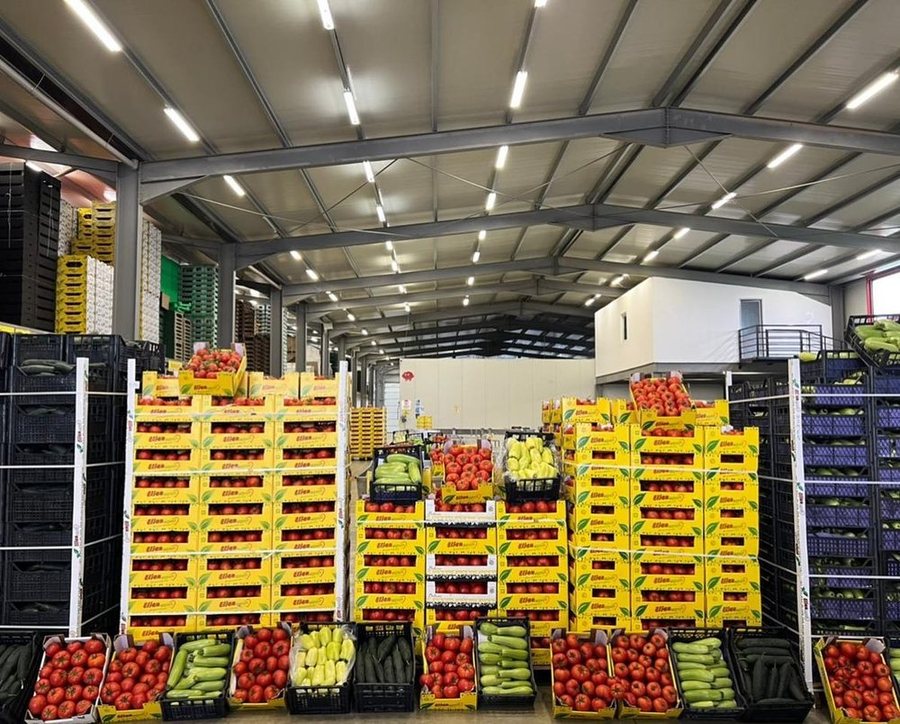 Tregtimi i produkteve bujqësore dhe blegtorale, Administrata Tatimore nis