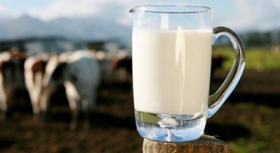 Prodhimi i qumështit ra me 6.6% gjatë 2024-ës/ Ndryshim negativ