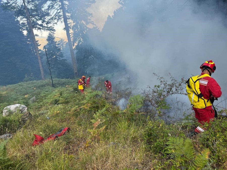19 fires reported in the last 24 hours – AKMC informs on the current