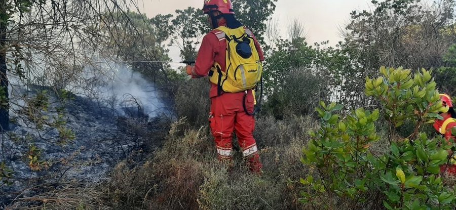 Situata e zjarreve në vend/ MM: 20 vatra në 24 orët e fundit, tre
