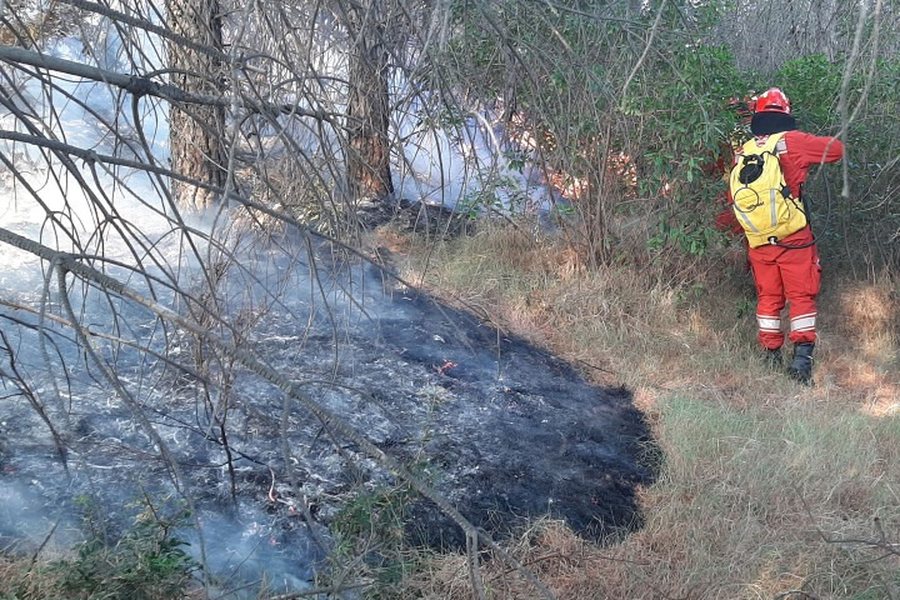 Situata e zjarreve në vend/ MM: 24 vatra të raportuara gjatë 24