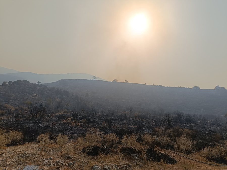 Around 12 thousand hectares of forests are burning/ EFFIS: 47 fires have been