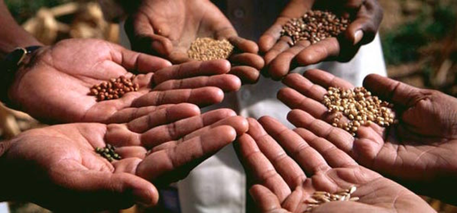 “Uria globale, në rënie”/ Raporti i OKB: Pasiguria