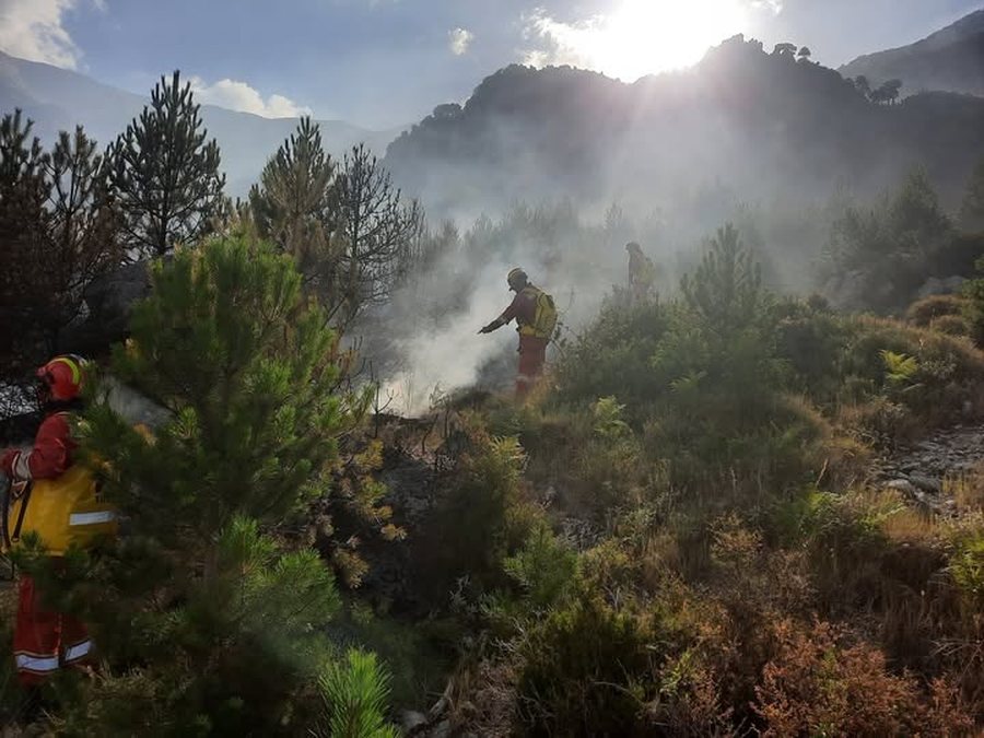 Rains help the fire situation in the country/ AKMC: 16 identified fires, only 2