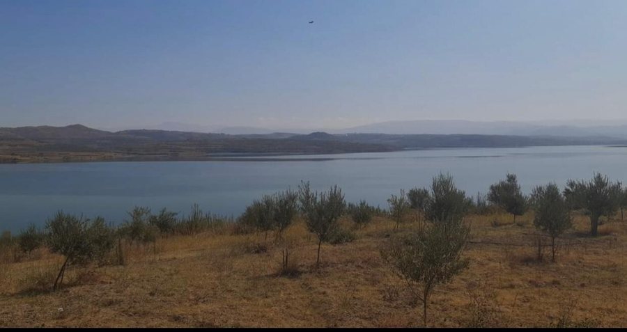 Irrigation intervention plan in Myzeqe - Lake Thana, "feeds" 40