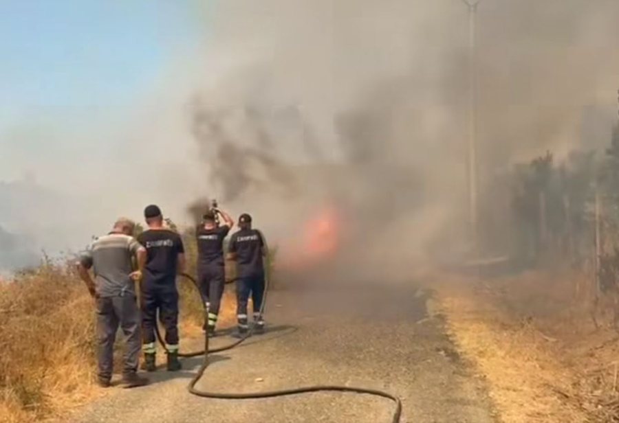 Temperaturat ekstreme rikthejnë zjarret në vend: 38 vatra në 24
