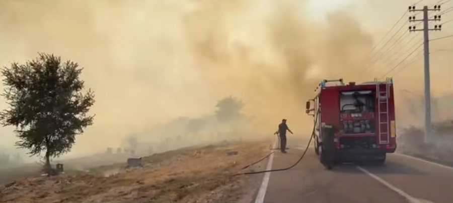 Temperaturat ekstreme rikthejnë zjarret në vend: 38 vatra në 24