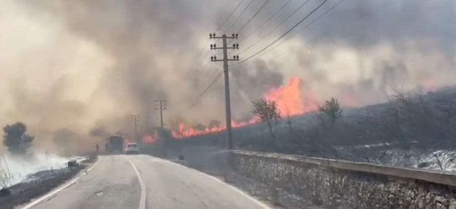 Temperaturat ekstreme rikthejnë zjarret në vend: 38 vatra në 24