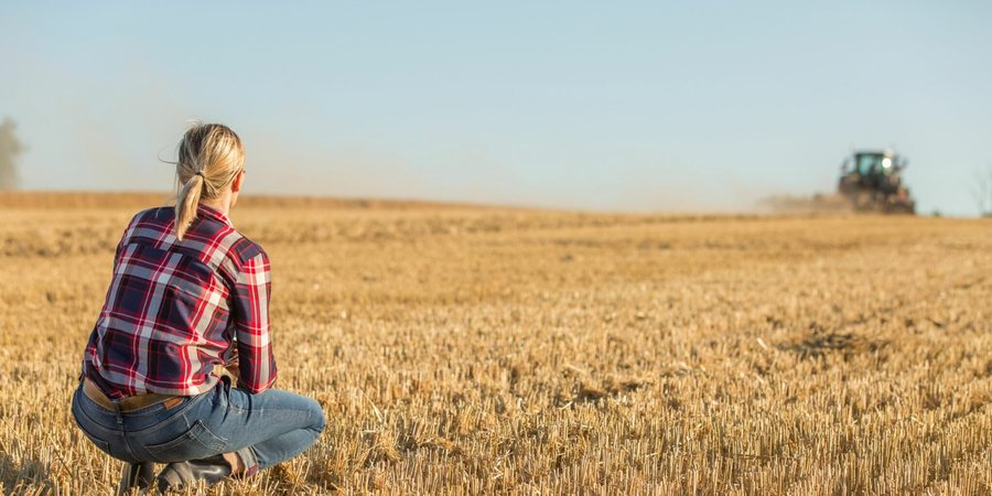 Gratë punojnë, burrat drejtojnë agrobizneset - Trendi po