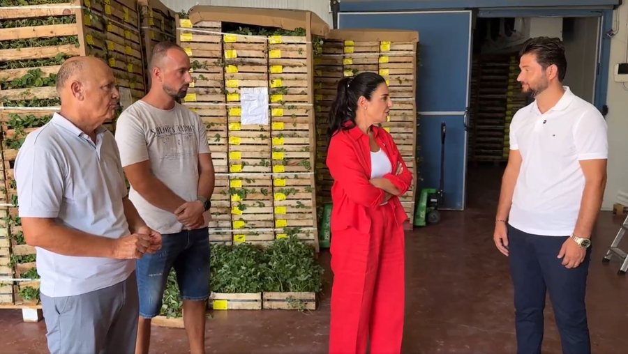 “Certifikimi i produkteve bujqësore rrit shitjet” - Balluku,