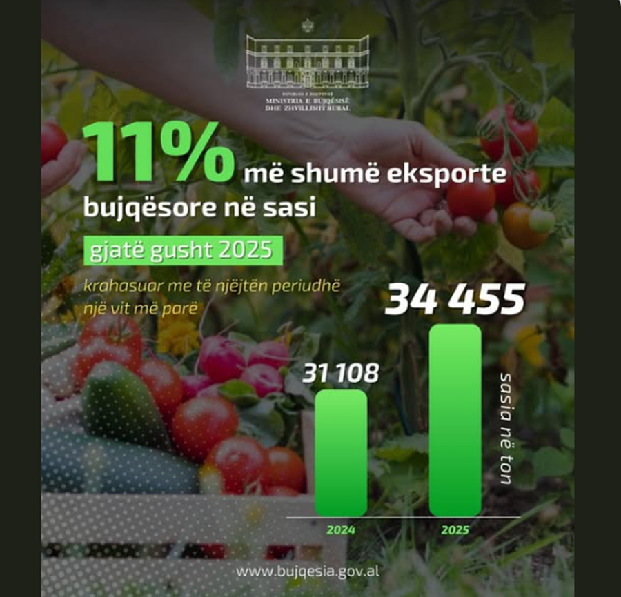 Prodhimet bujqësore shqiptare, në tregjet e huaja - Në