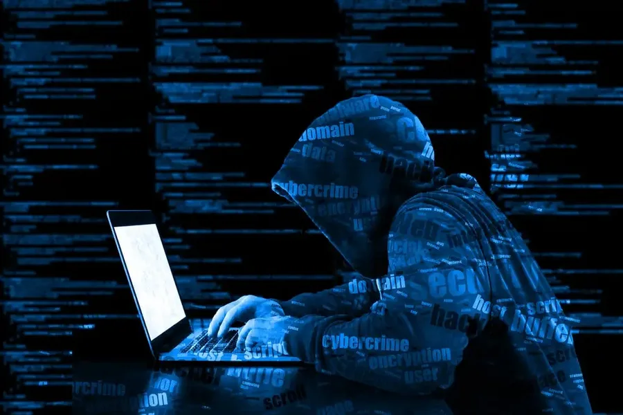 How will cybercrimes be investigated? Special measures/structures and new