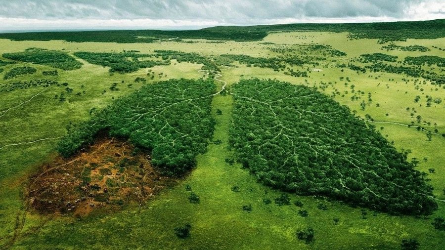 Çfarë parashikohet në buxhetin 2026 për mjedisin? Nga