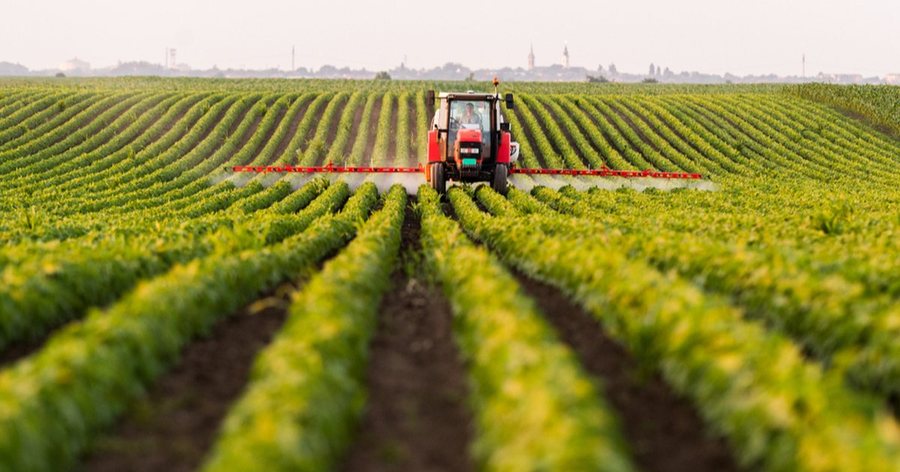 Raport për ndërhyrje kyçe në sektorin e
