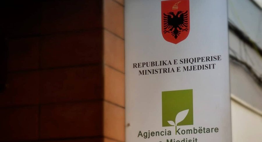 Decision, Government appoints the Director General of the National Environmental