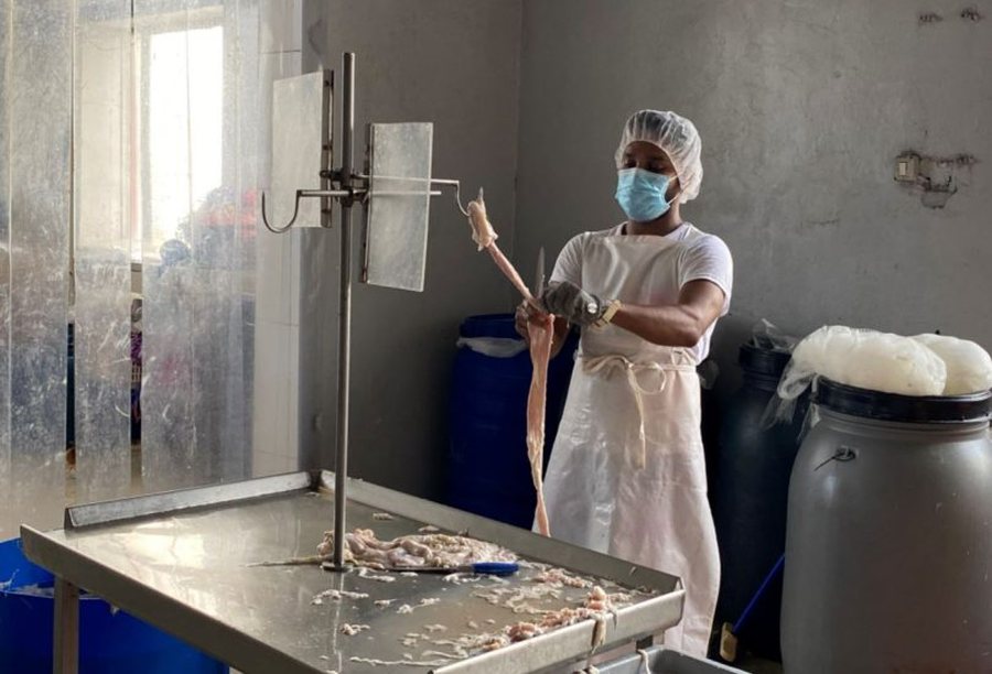 Cil&euml;t punonj&euml;s t&euml; huaj jan&euml; m&euml; t&euml;