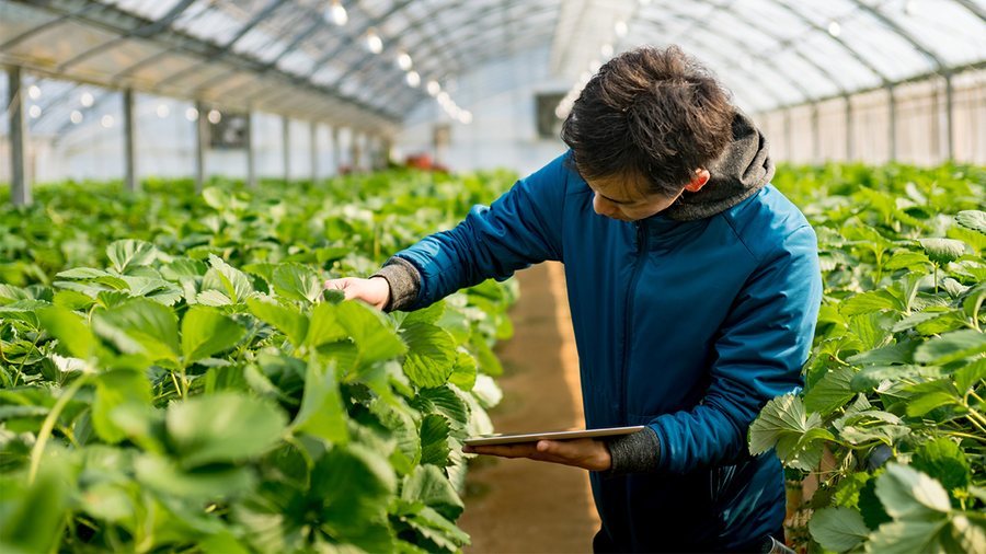 795 euro financim p&euml;r &ccedil;do fermer/ Skema Komb&euml;tare 2025, 52