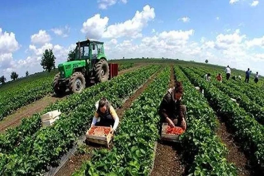 Projektligji, miratohen termat p&euml;r censin e bujq&euml;sis&euml;, komision