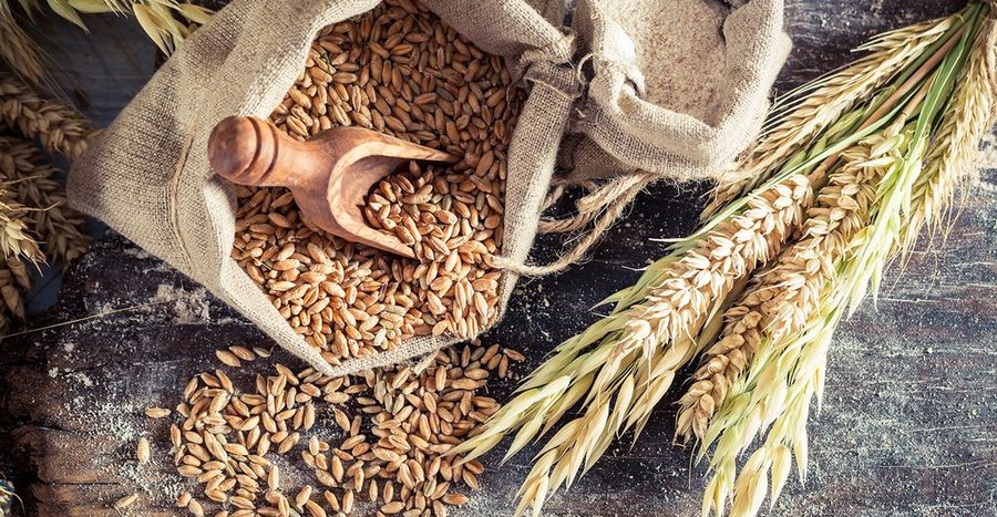 Kor&ccedil;a "dethrones" Fier from the throne of wheat/ About 1 in 4