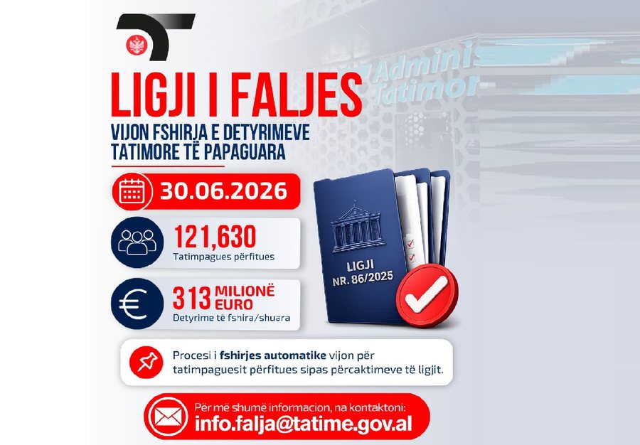 Tax Amnesty Law: So far, 313 million euros in liabilities have been erased for