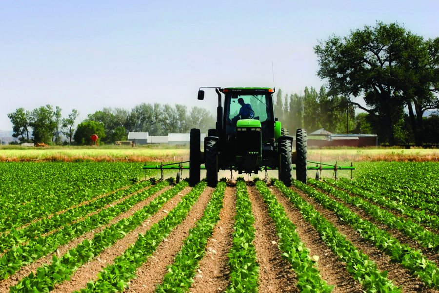 One in four agricultural vehicles is located in Fier/ More tractors, but fewer